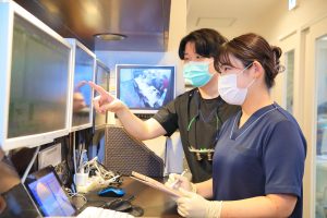 若手歯科医師