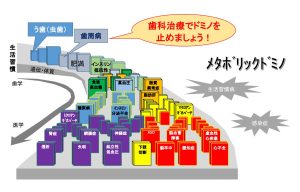 メタボリックドミノ